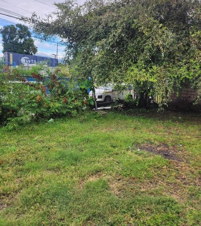 Fifth image of 31 Retirement Road, Lyndhurs in KINGSTON, Kingston, Jamaica - property is For Sale