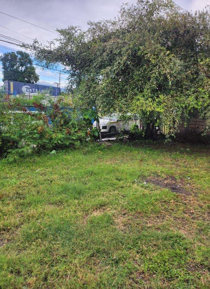 Fifth image of 31 Retirement Road, Lyndhurs in KINGSTON, Kingston, Jamaica - property is For Sale