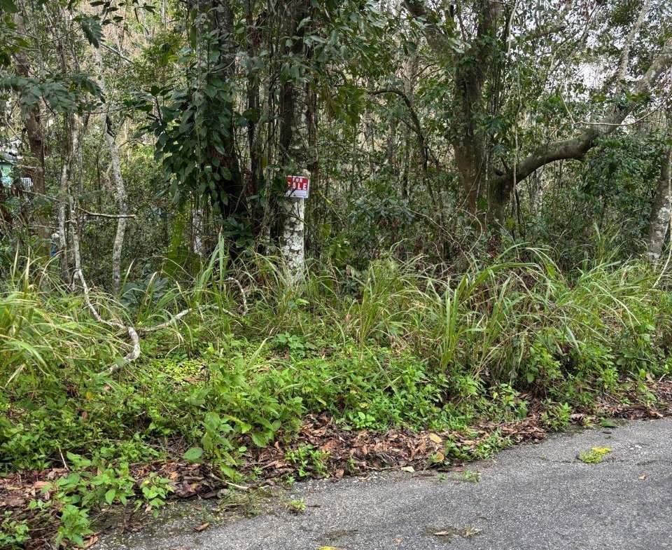 Second image of Lot 33-35 Shoucair Circle in Kingston 19, St. Andrew, Jamaica - property is For Sale