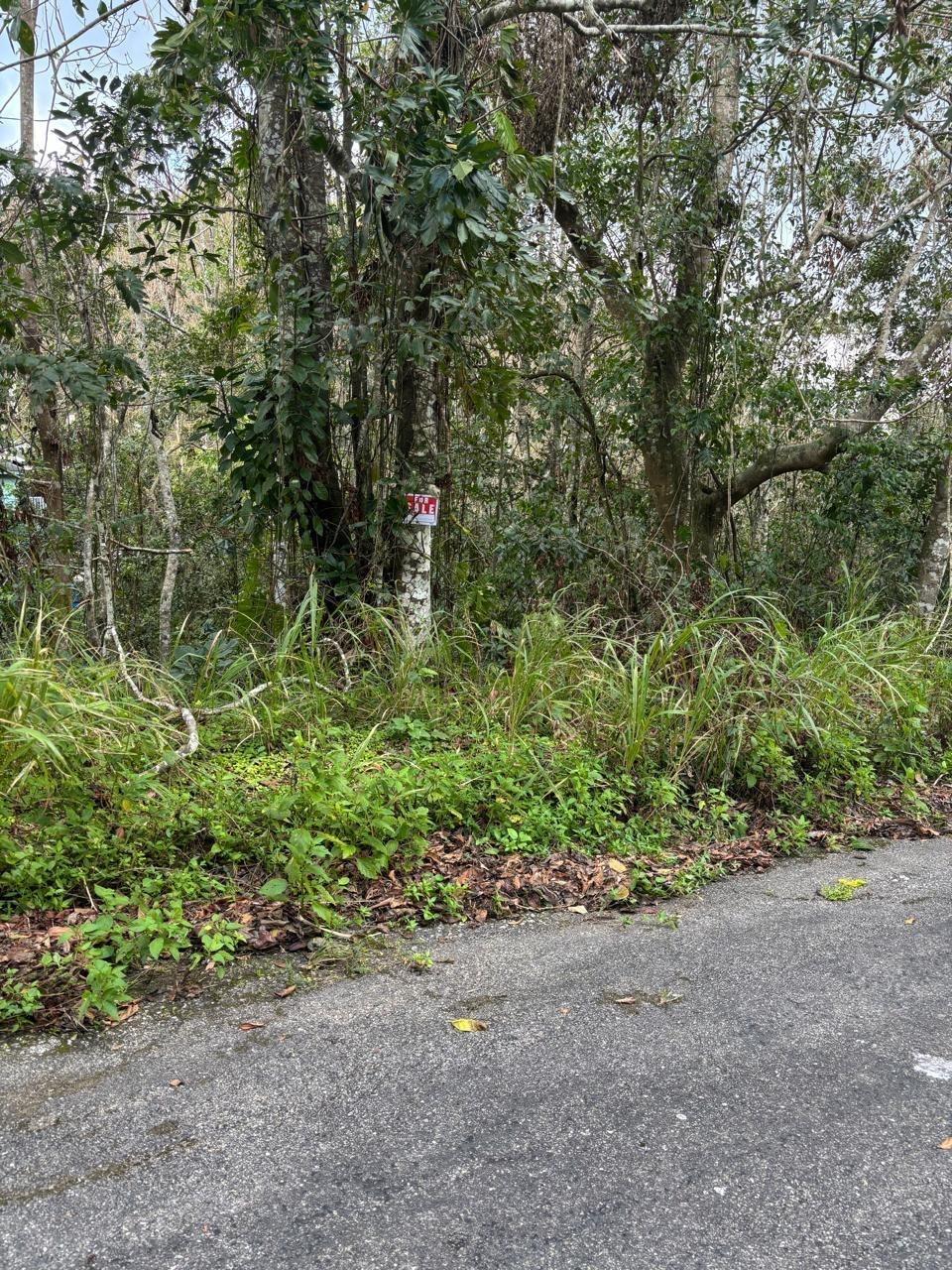 Second image of Lot 33-35 Shoucair Circle in Kingston 19, St. Andrew, Jamaica - property is For Sale
