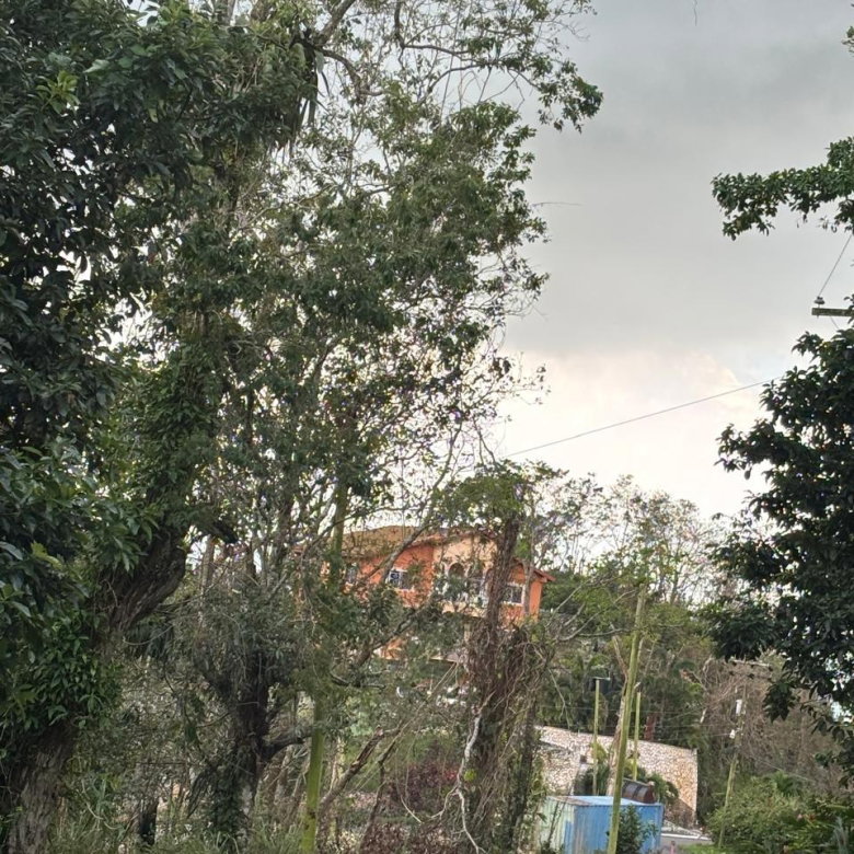 First image of Lot 33-35 Shoucair Circle in Kingston 19, St. Andrew, Jamaica - property is For Sale