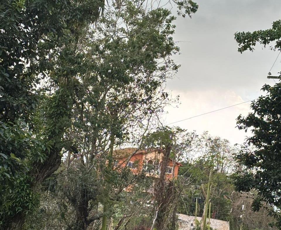 First image of Lot 33-35 Shoucair Circle in Kingston 19, St. Andrew, Jamaica - property is For Sale