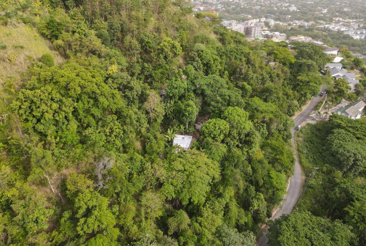 Seventh image of Barbican Heights in Kingston 6, St. Andrew, Jamaica - property is For Sale