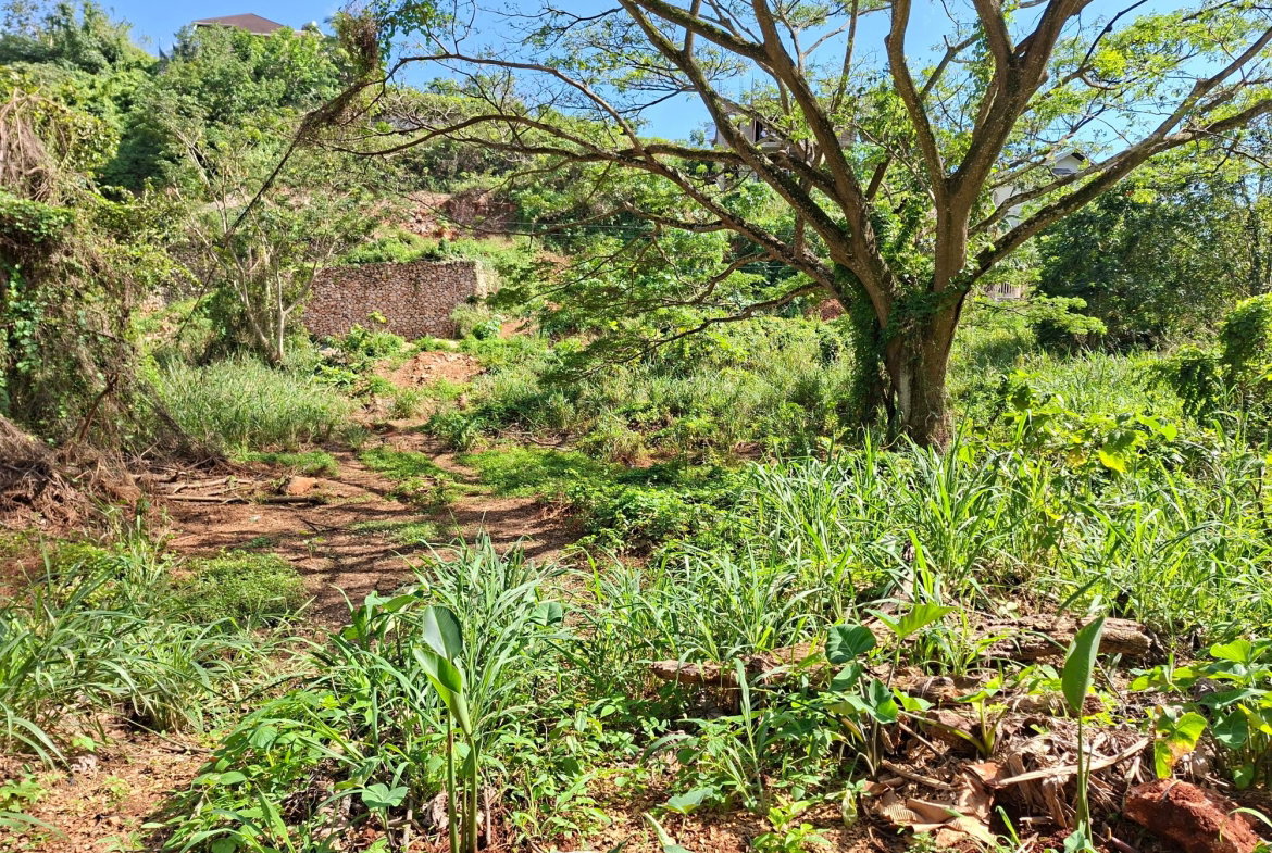 Second image of 15 Thompson Boulevard in Kingston 19, St. Andrew, Jamaica - property is For Sale