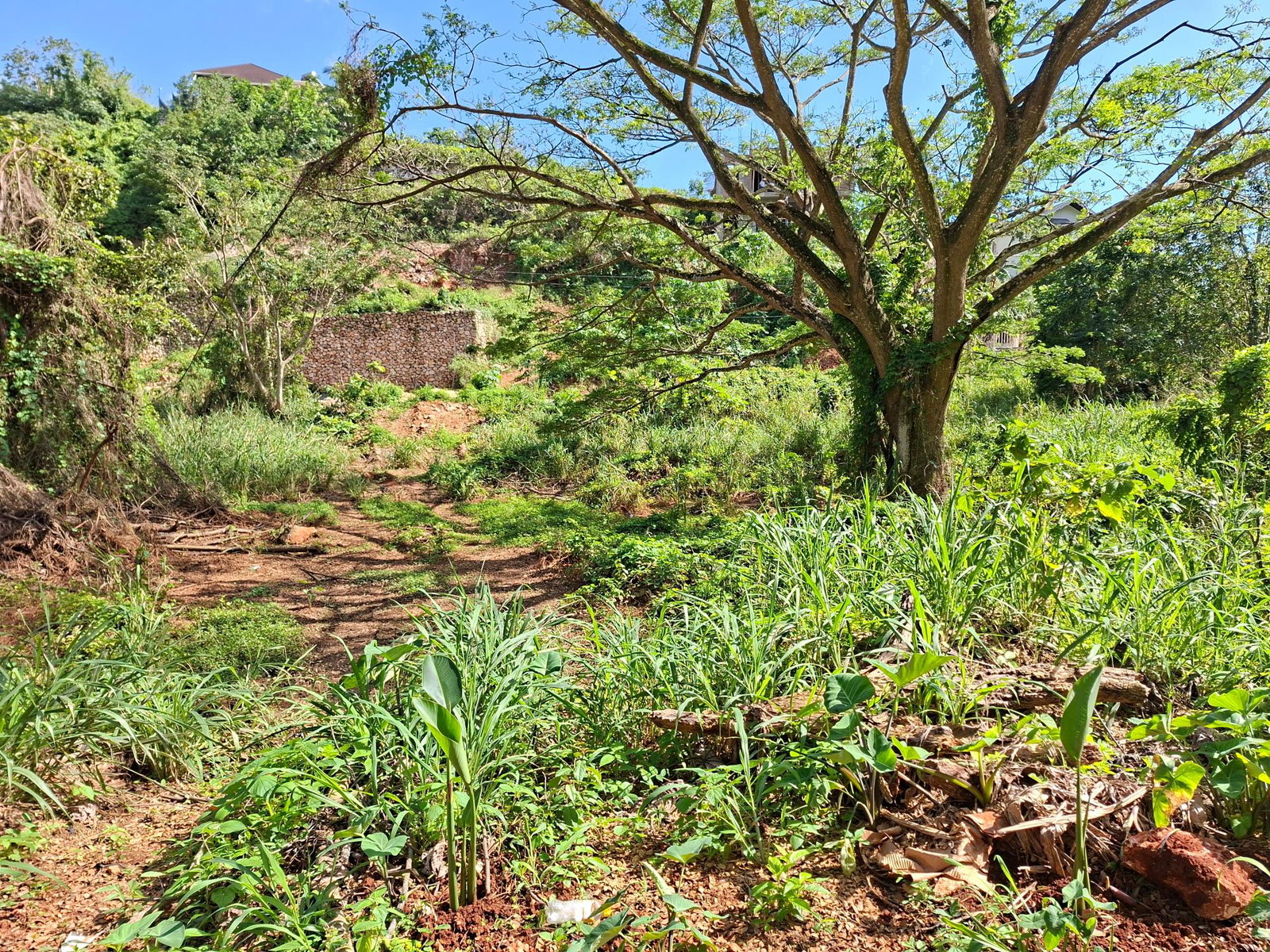 Second image of 15 Thompson Boulevard in Kingston 19, St. Andrew, Jamaica - property is For Sale