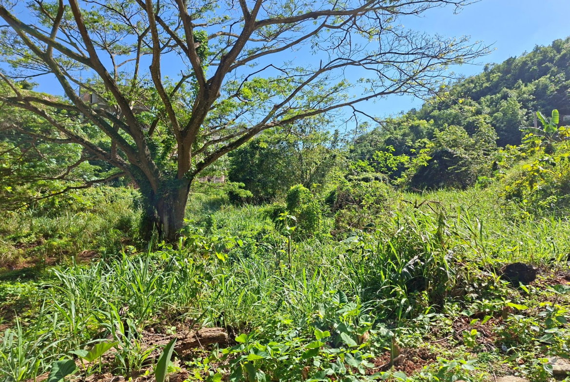 First image of 15 Thompson Boulevard in Kingston 19, St. Andrew, Jamaica - property is For Sale