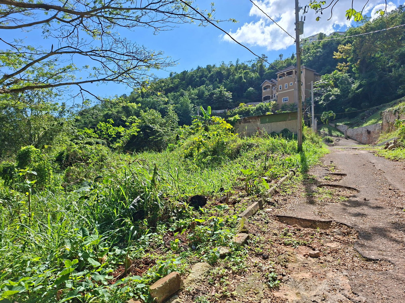 Fourth image of 15 Thompson Boulevard in Kingston 19, St. Andrew, Jamaica - property is For Sale