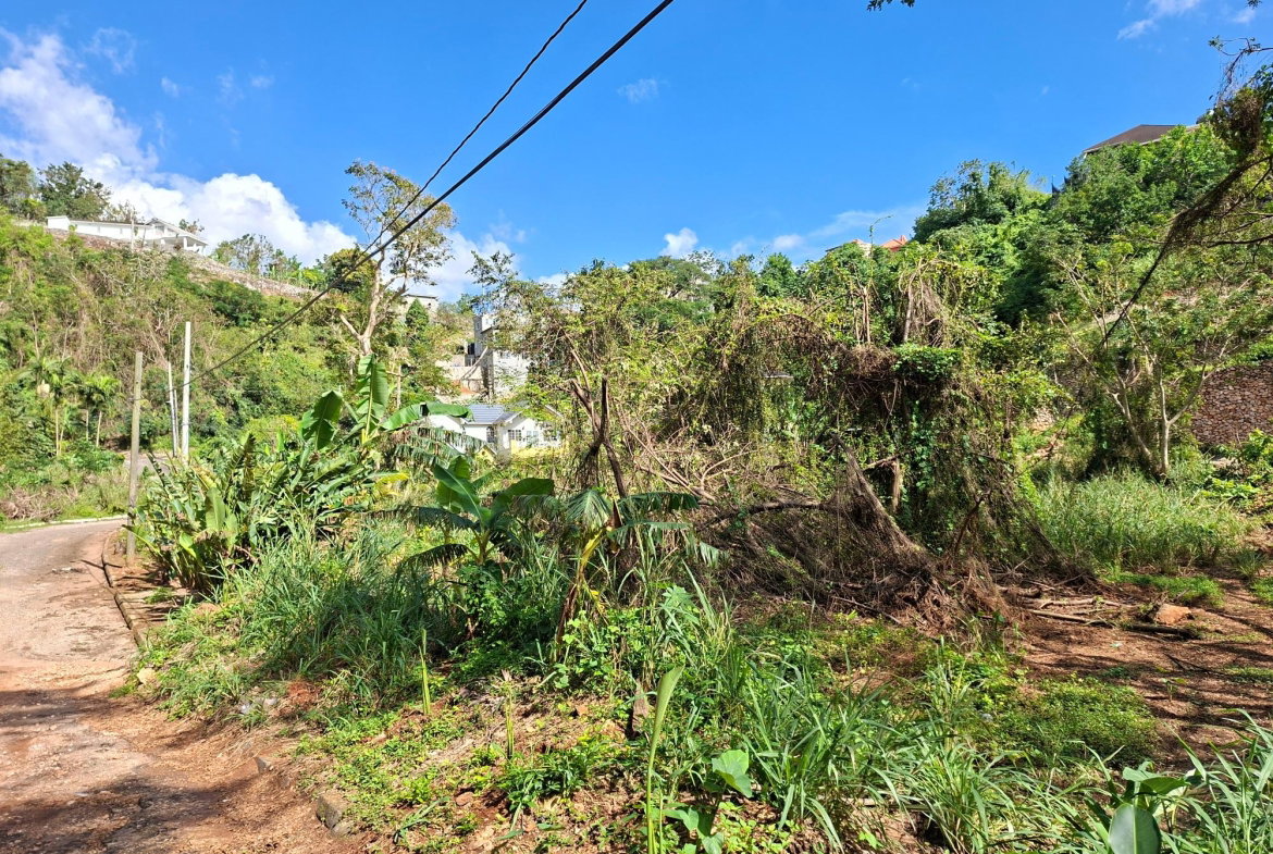 Fifth image of 15 Thompson Boulevard in Kingston 19, St. Andrew, Jamaica - property is For Sale