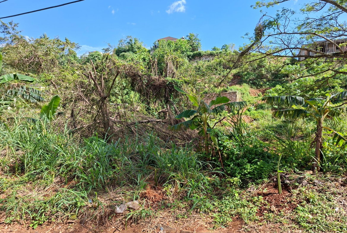 Sixth image of 15 Thompson Boulevard in Kingston 19, St. Andrew, Jamaica - property is For Sale