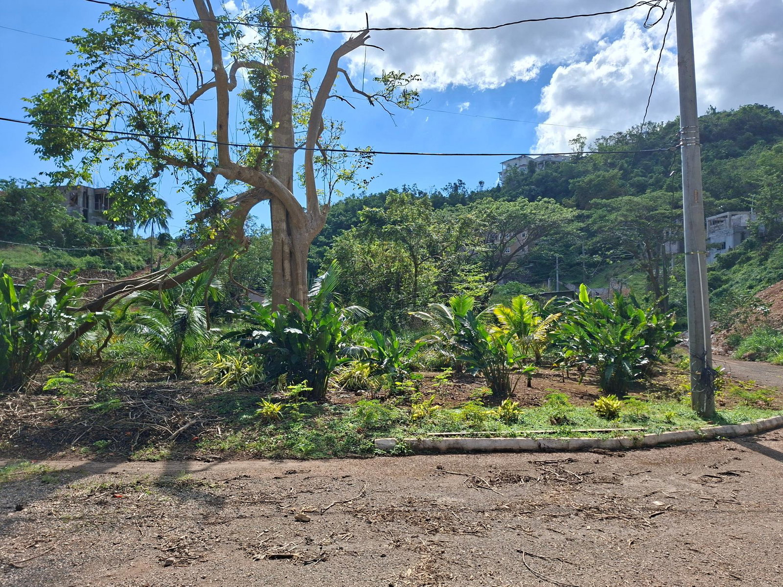 Seventh image of 15 Thompson Boulevard in Kingston 19, St. Andrew, Jamaica - property is For Sale