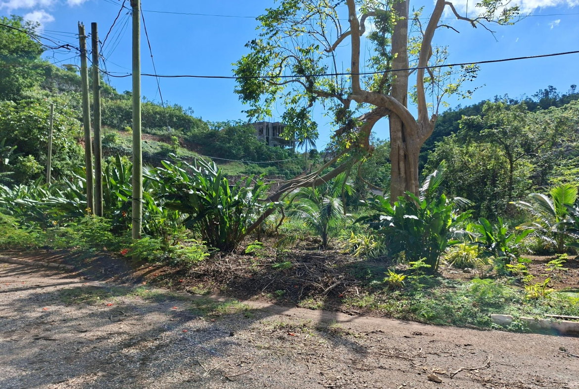 Eighth image of 15 Thompson Boulevard in Kingston 19, St. Andrew, Jamaica - property is For Sale