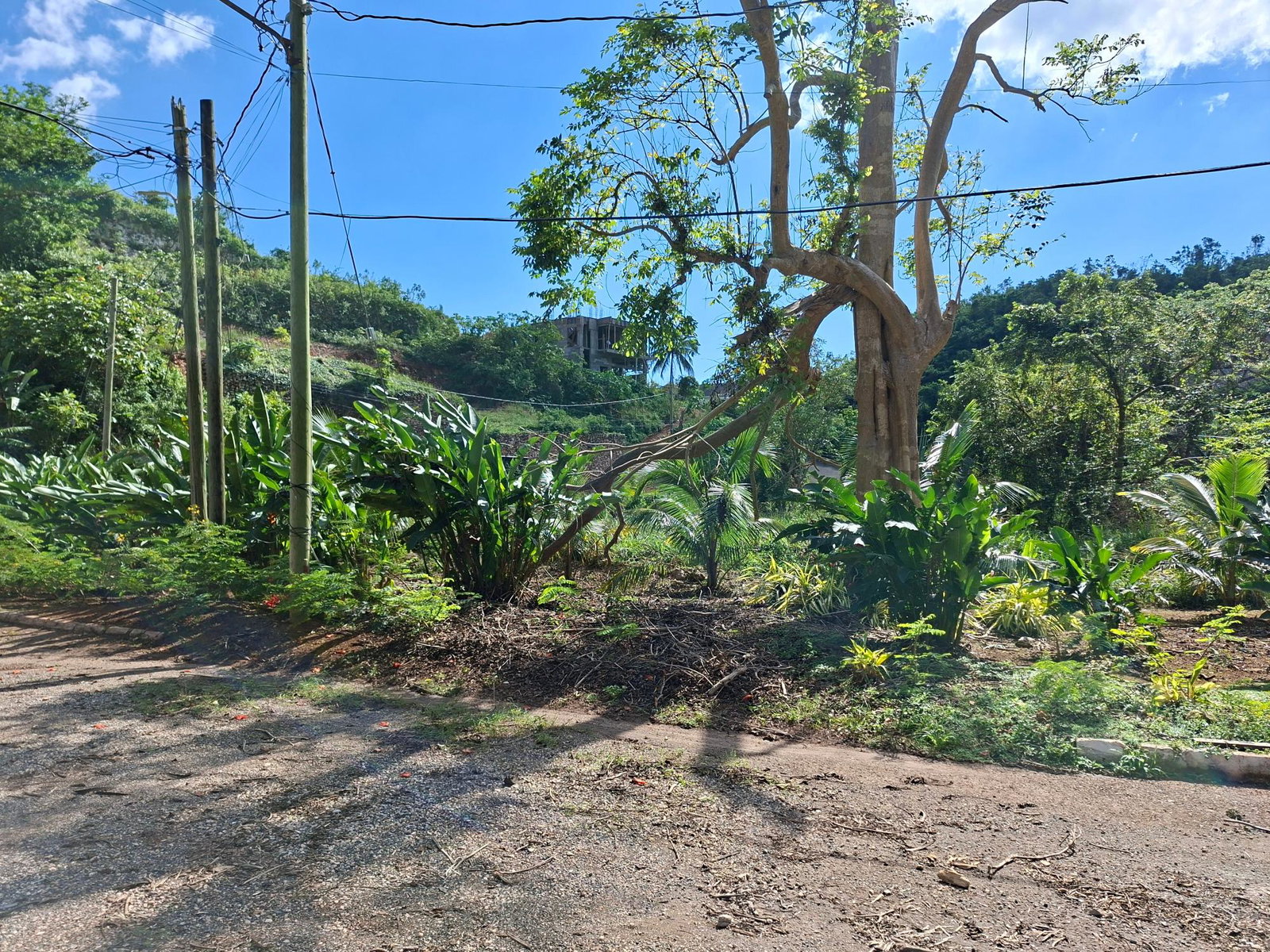 Eighth image of 15 Thompson Boulevard in Kingston 19, St. Andrew, Jamaica - property is For Sale