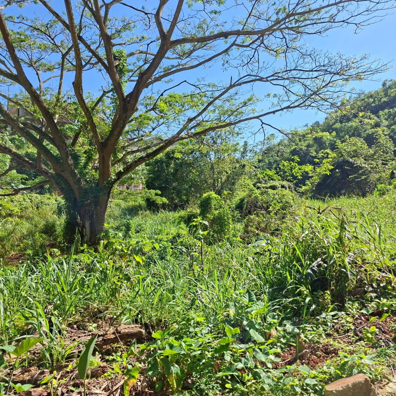 First image of 15 Thompson Boulevard in Kingston 19, St. Andrew, Jamaica - property is For Sale