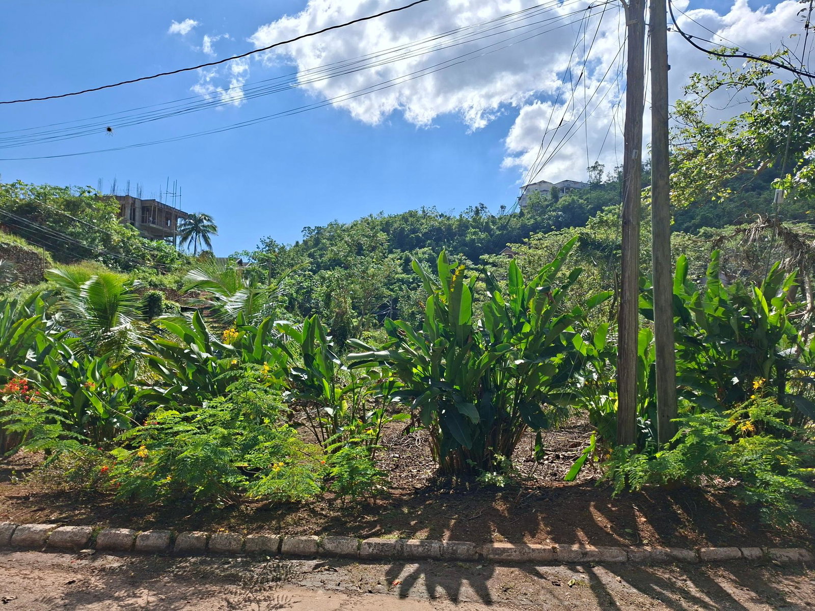 Ninth image of 15 Thompson Boulevard in Kingston 19, St. Andrew, Jamaica - property is For Sale