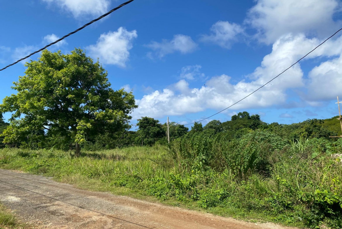 Second image of 27b White River Pines Ocho r in Ocho Rios, St. Ann, Jamaica - property is For Sale