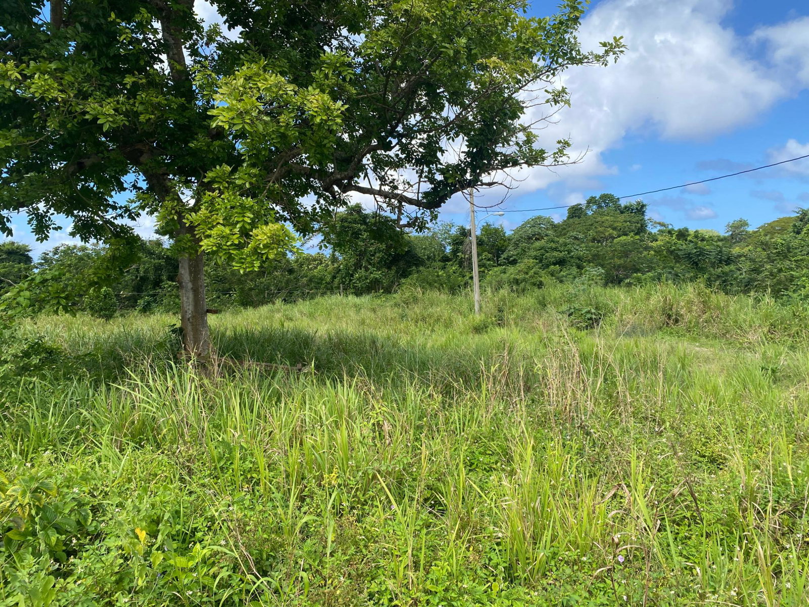 Prime-Residential-Lot-for-Sale-in-White-River-Pines-Ocho-Rios-St.-Ann-Jamaica Third image of 27b White River Pines Ocho r in Ocho Rios, St. Ann, Jamaica - property is For Sale