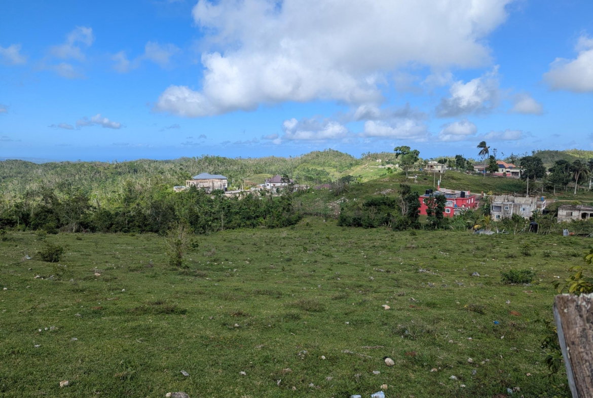 Fourteenth image of 15 Lillyfield & Elgin Hall in Bamboo, St. Ann, Jamaica - property is For Sale