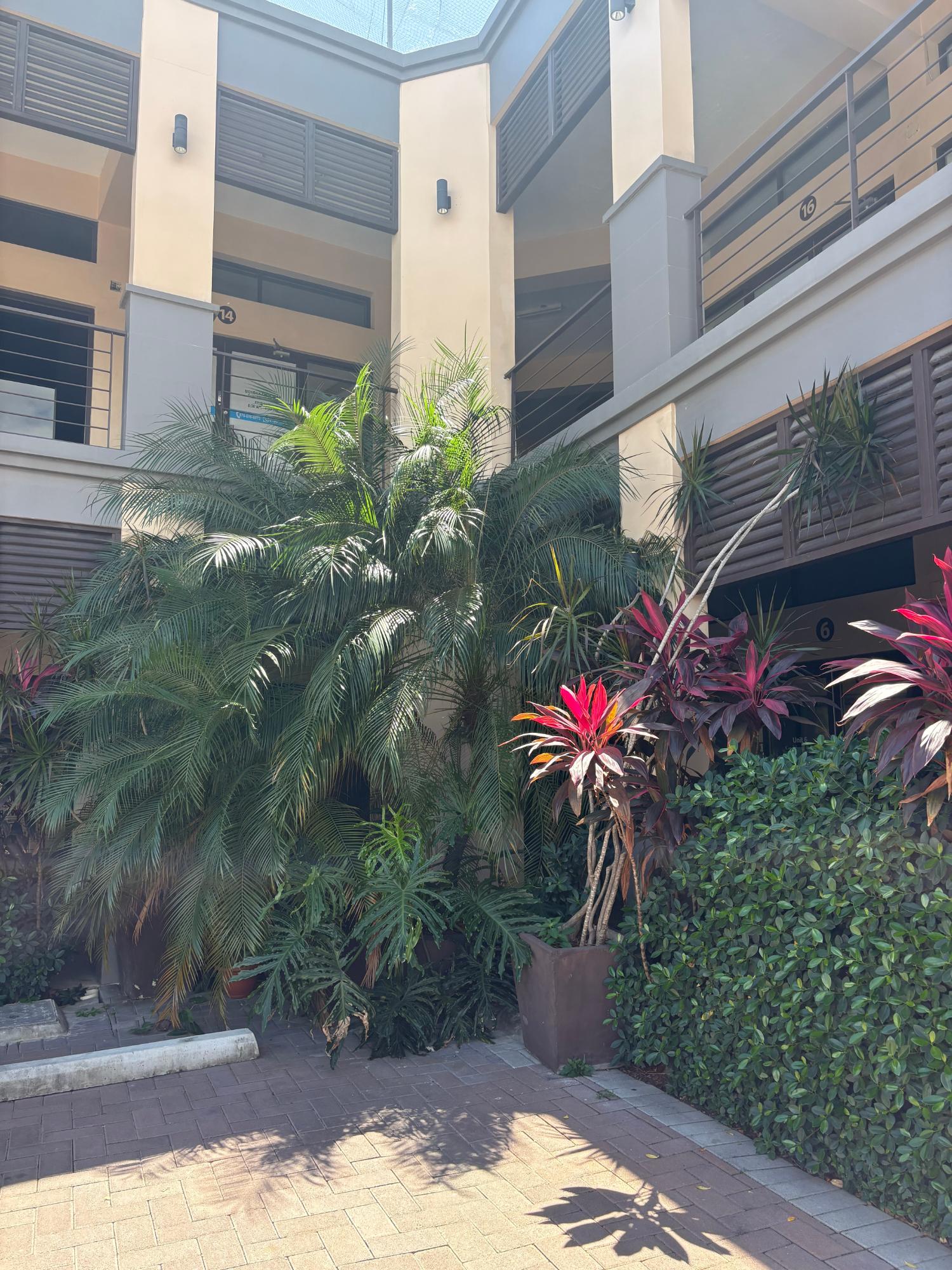 Third image of 15a-17 Red Hills Road in Kingston 19, St. Andrew, Jamaica - property is For Rent