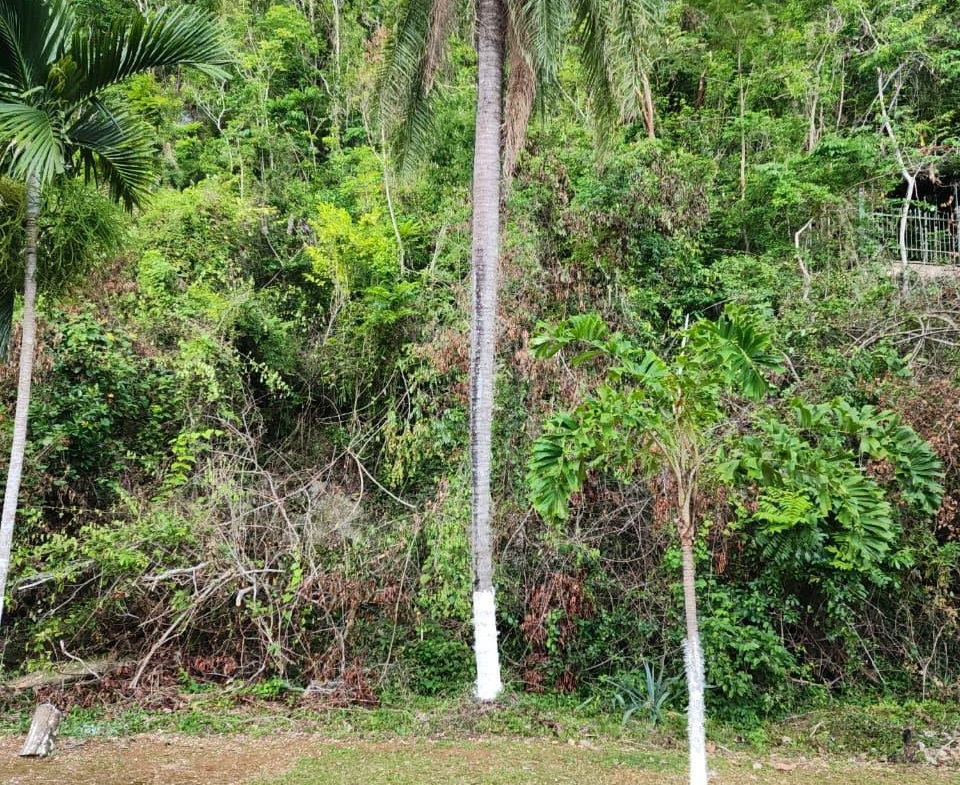 Second image of Hermitage Dam Road in Kingston 9, St. Andrew, Jamaica - property is For Sale
