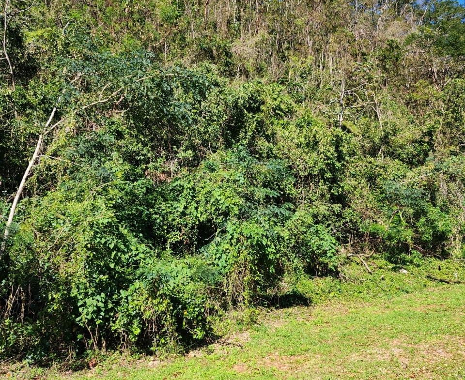 Third image of Hermitage Dam Road in Kingston 9, St. Andrew, Jamaica - property is For Sale