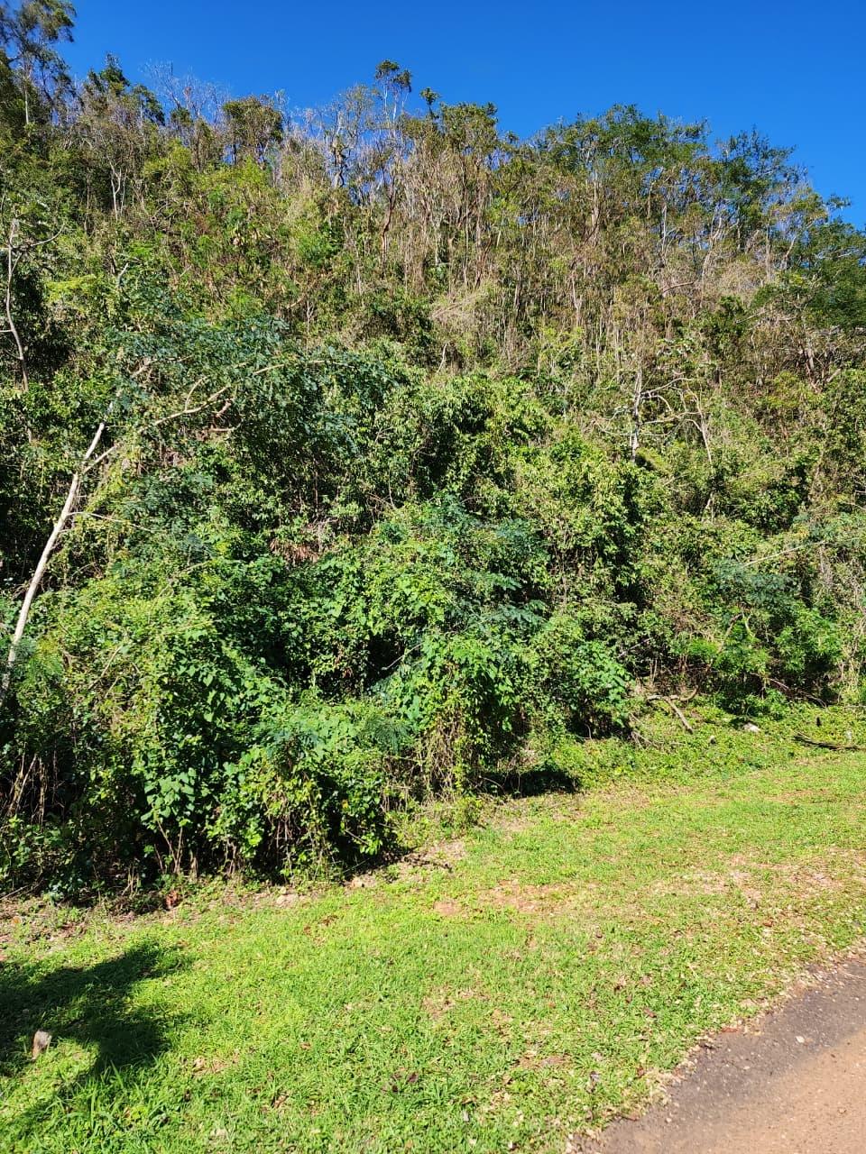 Third image of Hermitage Dam Road in Kingston 9, St. Andrew, Jamaica - property is For Sale