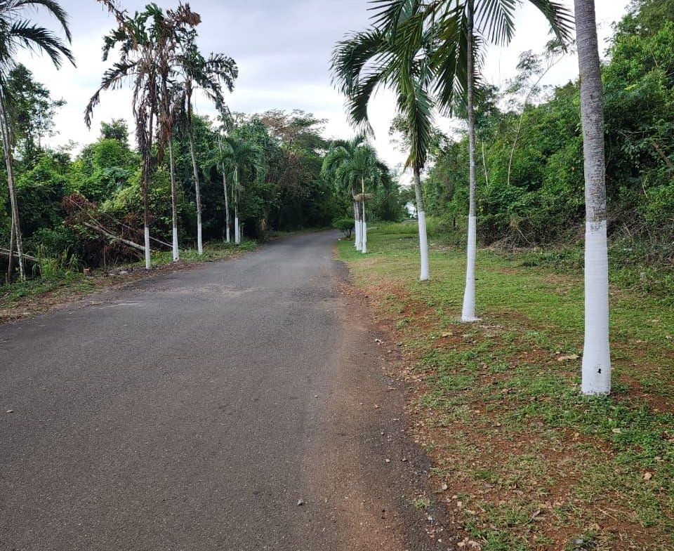 Fifth image of Hermitage Dam Road in Kingston 9, St. Andrew, Jamaica - property is For Sale