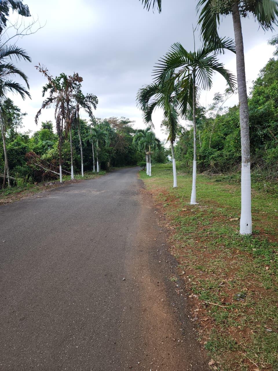 Fifth image of Hermitage Dam Road in Kingston 9, St. Andrew, Jamaica - property is For Sale