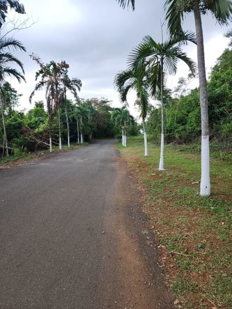 Fifth image of Hermitage Dam Road in Kingston 9, St. Andrew, Jamaica - property is For Sale
