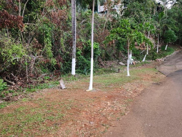 First image of Hermitage Dam Road in Kingston 9, St. Andrew, Jamaica - property is For Sale