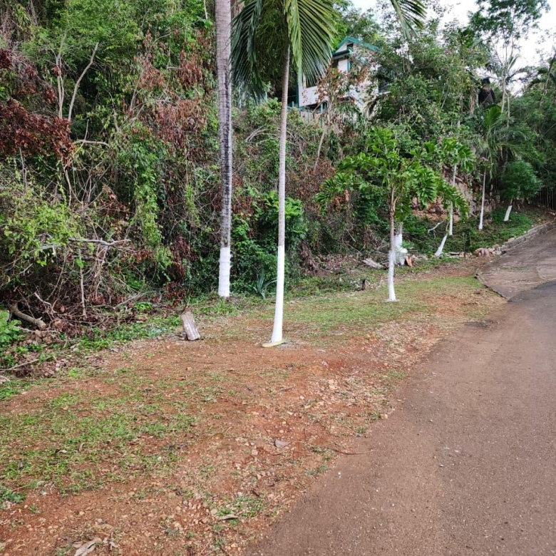 First image of Hermitage Dam Road in Kingston 9, St. Andrew, Jamaica - property is For Sale