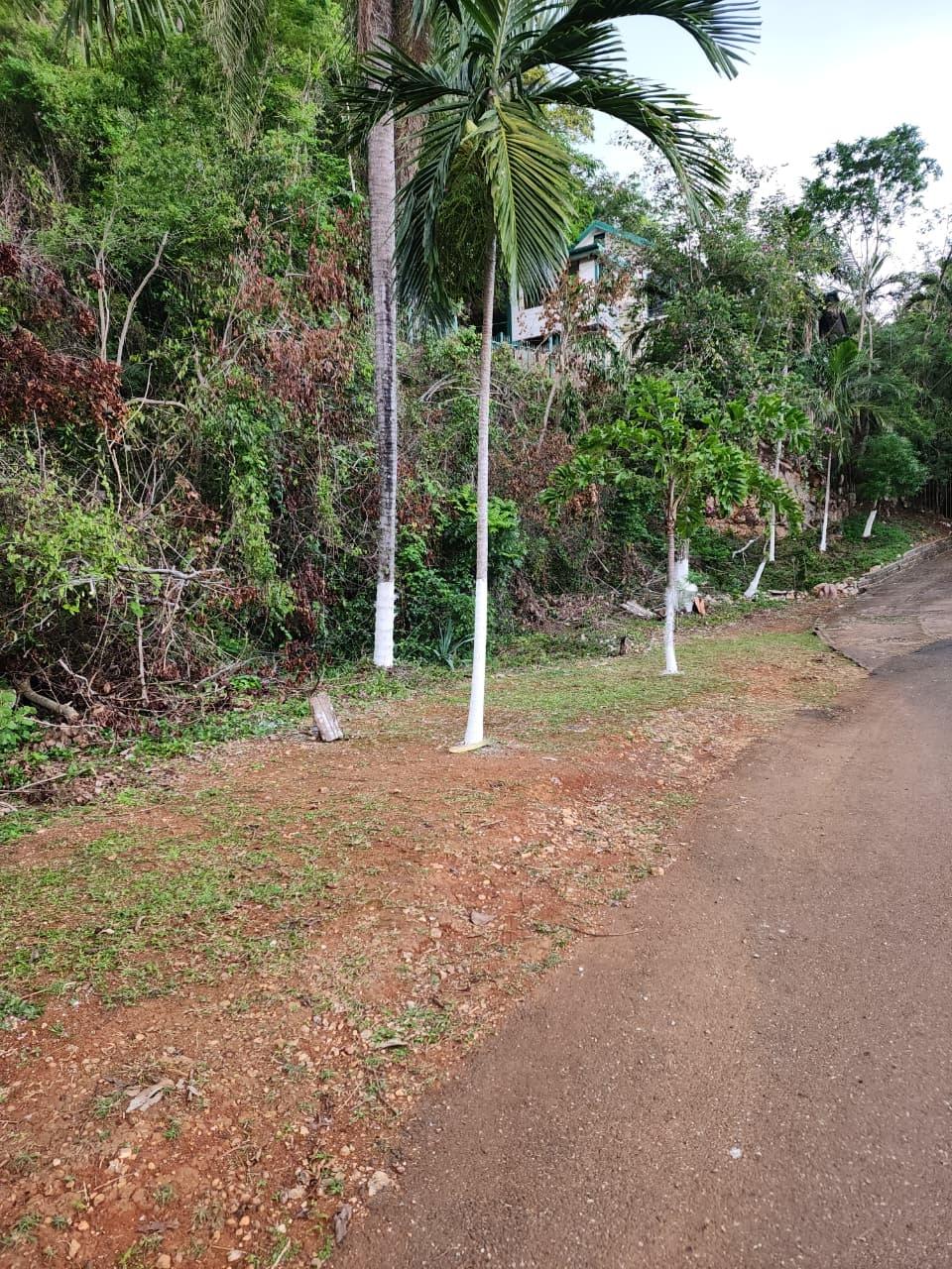 First image of Hermitage Dam Road in Kingston 9, St. Andrew, Jamaica - property is For Sale
