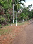 First image of Hermitage Dam Road in Kingston 9, St. Andrew, Jamaica - property is For Sale