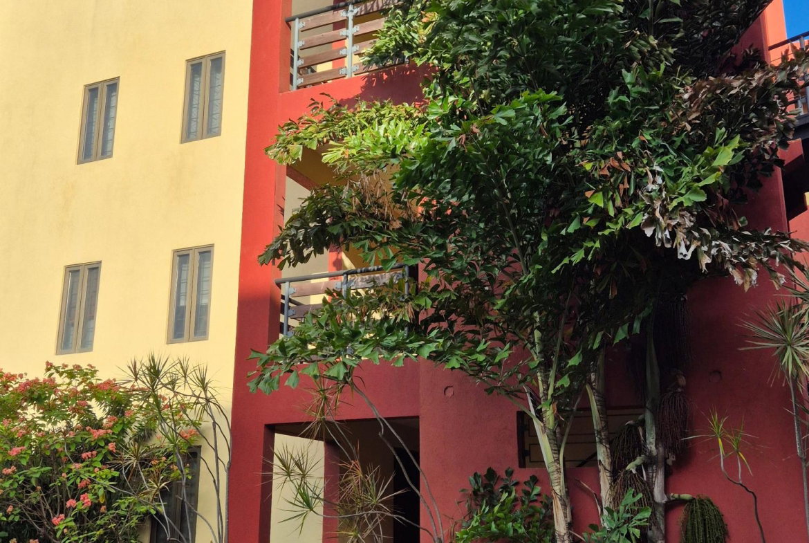 First image of 24-11 Musgrave Avenue in Kingston 5, St. Andrew, Jamaica - property is For Rent