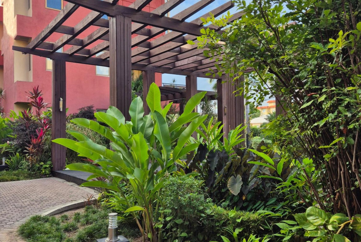 Fourth image of 24-11 Musgrave Avenue in Kingston 5, St. Andrew, Jamaica - property is For Rent