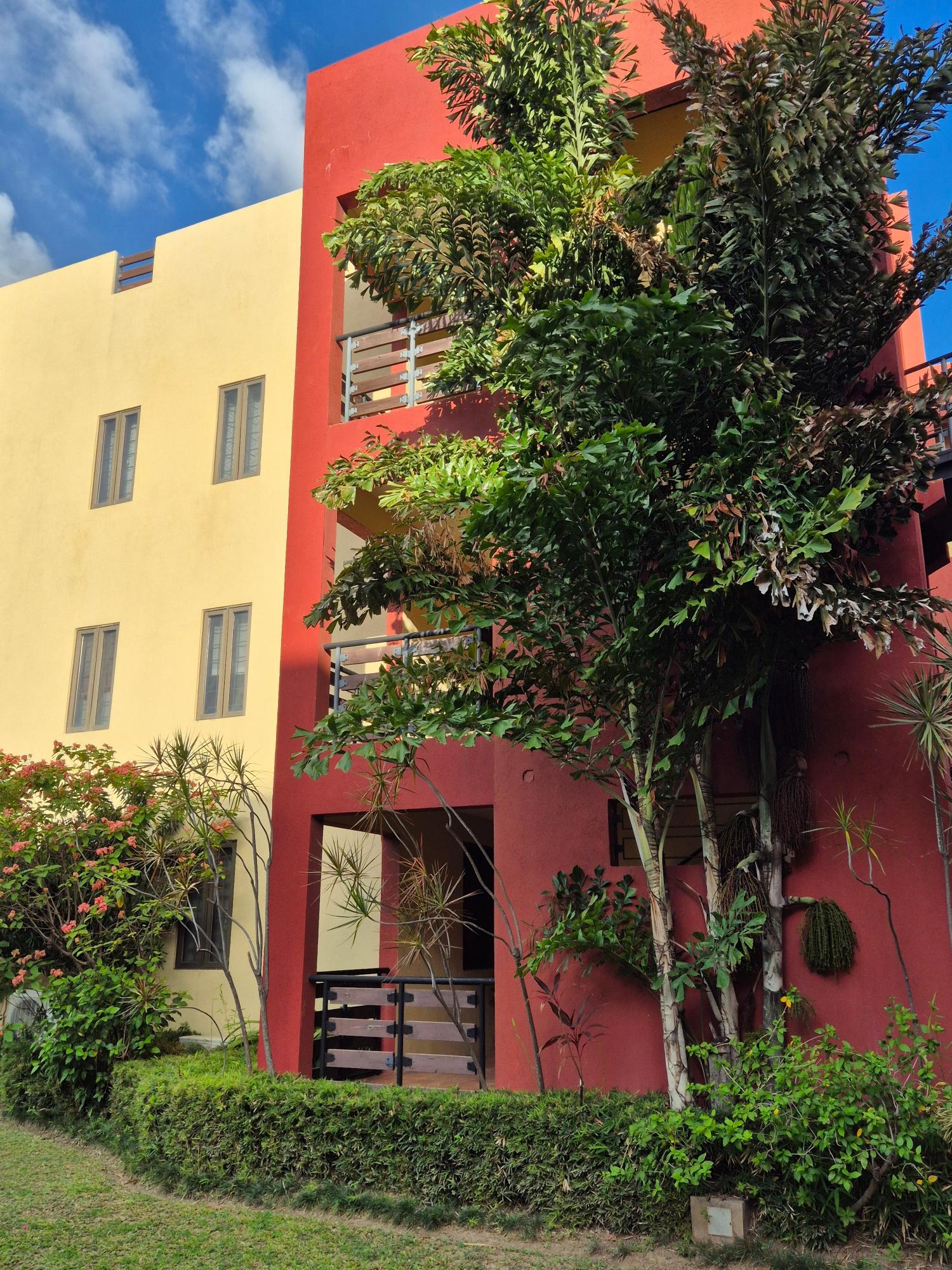 First image of 24-11 Musgrave Avenue in Kingston 5, St. Andrew, Jamaica - property is For Rent