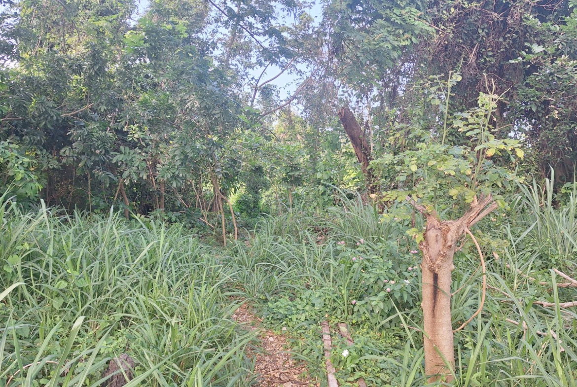 Second image of 18 Caribbean Park in Tower Isle, St. Mary, Jamaica - property is For Sale