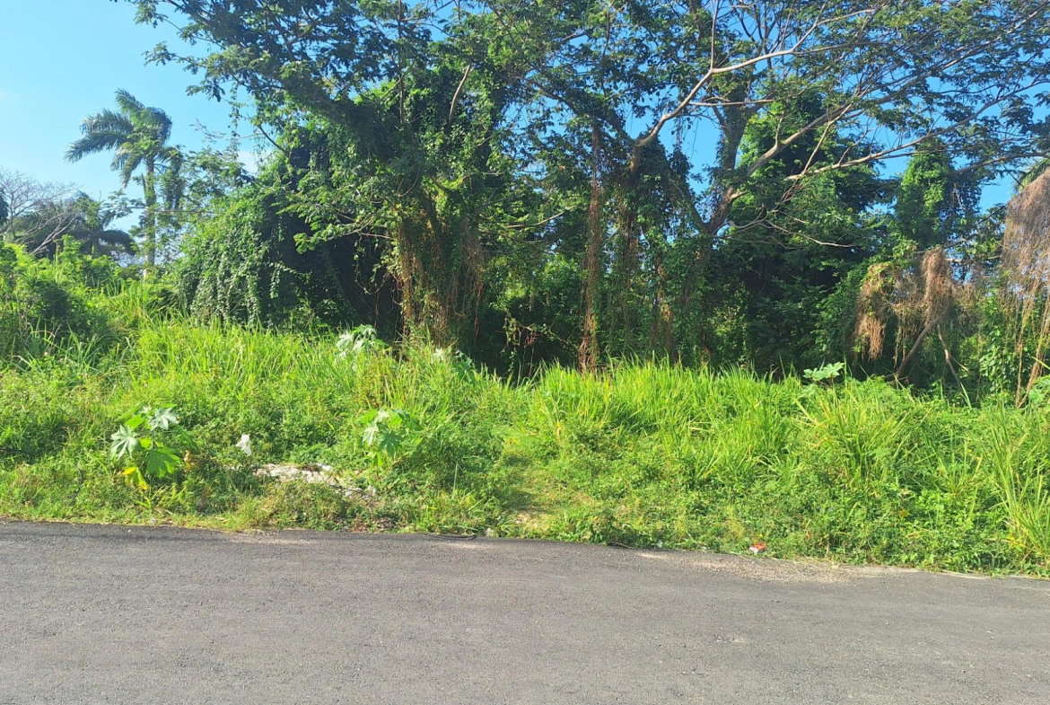 Third image of 18 Caribbean Park in Tower Isle, St. Mary, Jamaica - property is For Sale