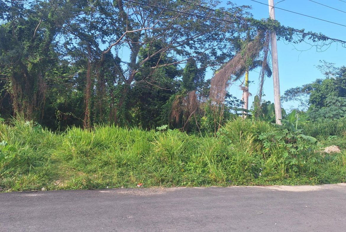 Fourth image of 18 Caribbean Park in Tower Isle, St. Mary, Jamaica - property is For Sale