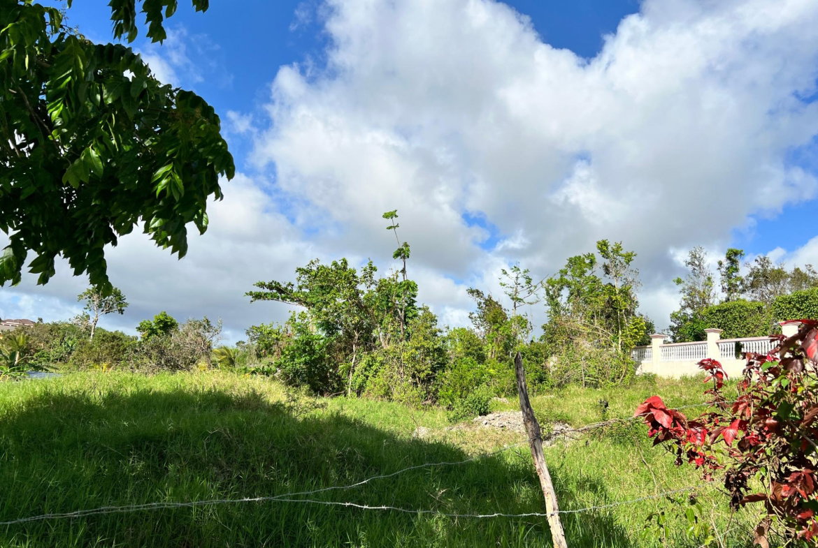 Second image of Lambtown Road in Mandeville, Manchester, Jamaica - property is For Sale