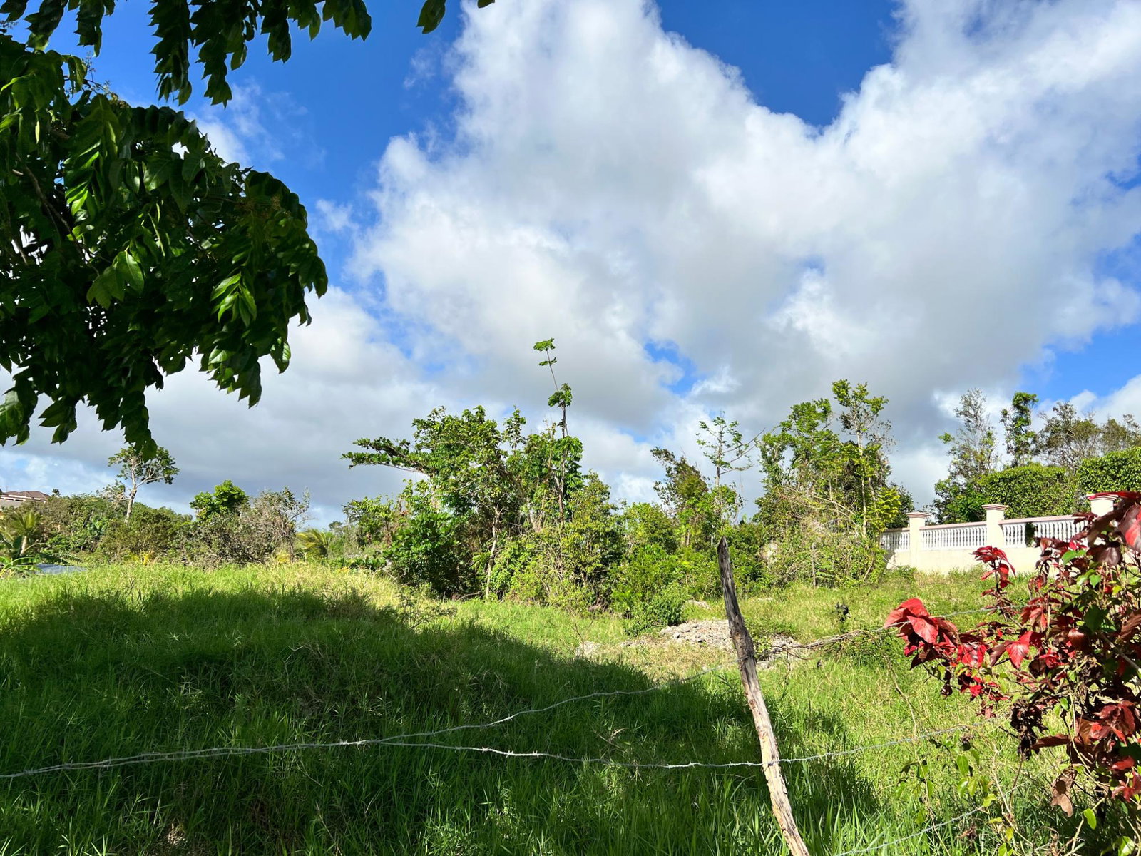 Second image of Lambtown Road in Mandeville, Manchester, Jamaica - property is For Sale
