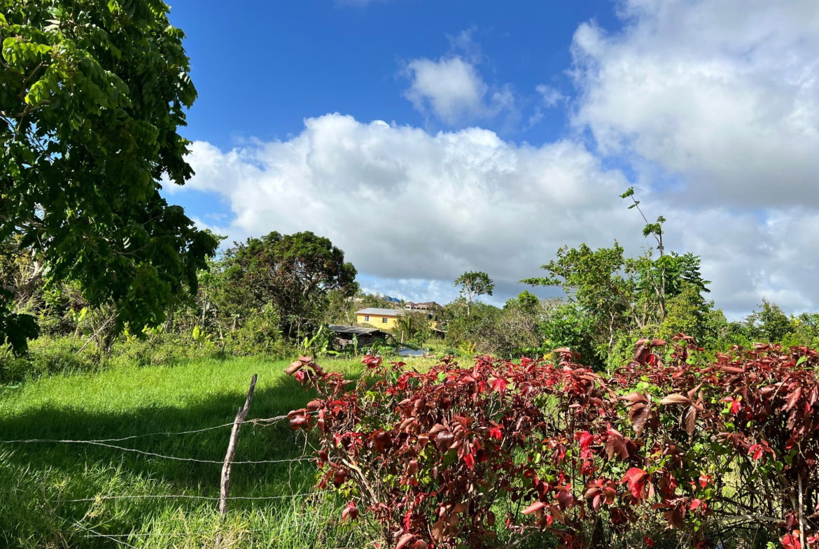 First image of Lambtown Road in Mandeville, Manchester, Jamaica - property is For Sale