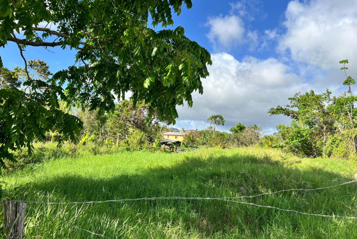 Third image of Lambtown Road in Mandeville, Manchester, Jamaica - property is For Sale