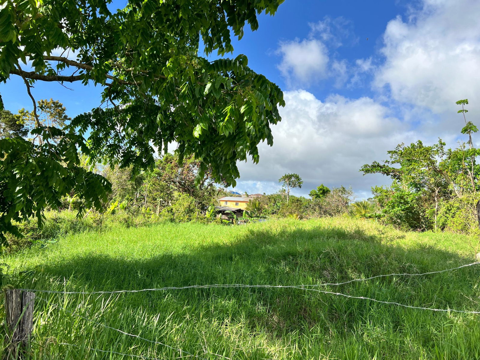 Third image of Lambtown Road in Mandeville, Manchester, Jamaica - property is For Sale