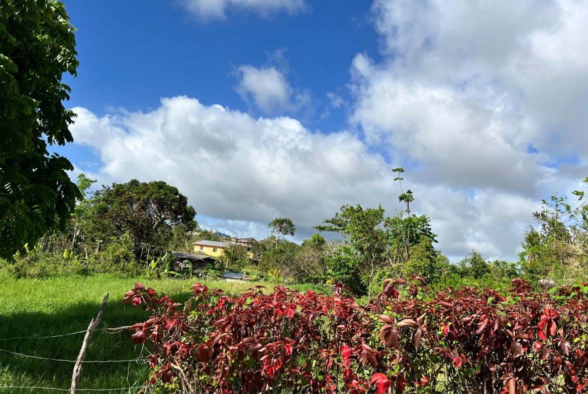 Fourth image of Lambtown Road in Mandeville, Manchester, Jamaica - property is For Sale
