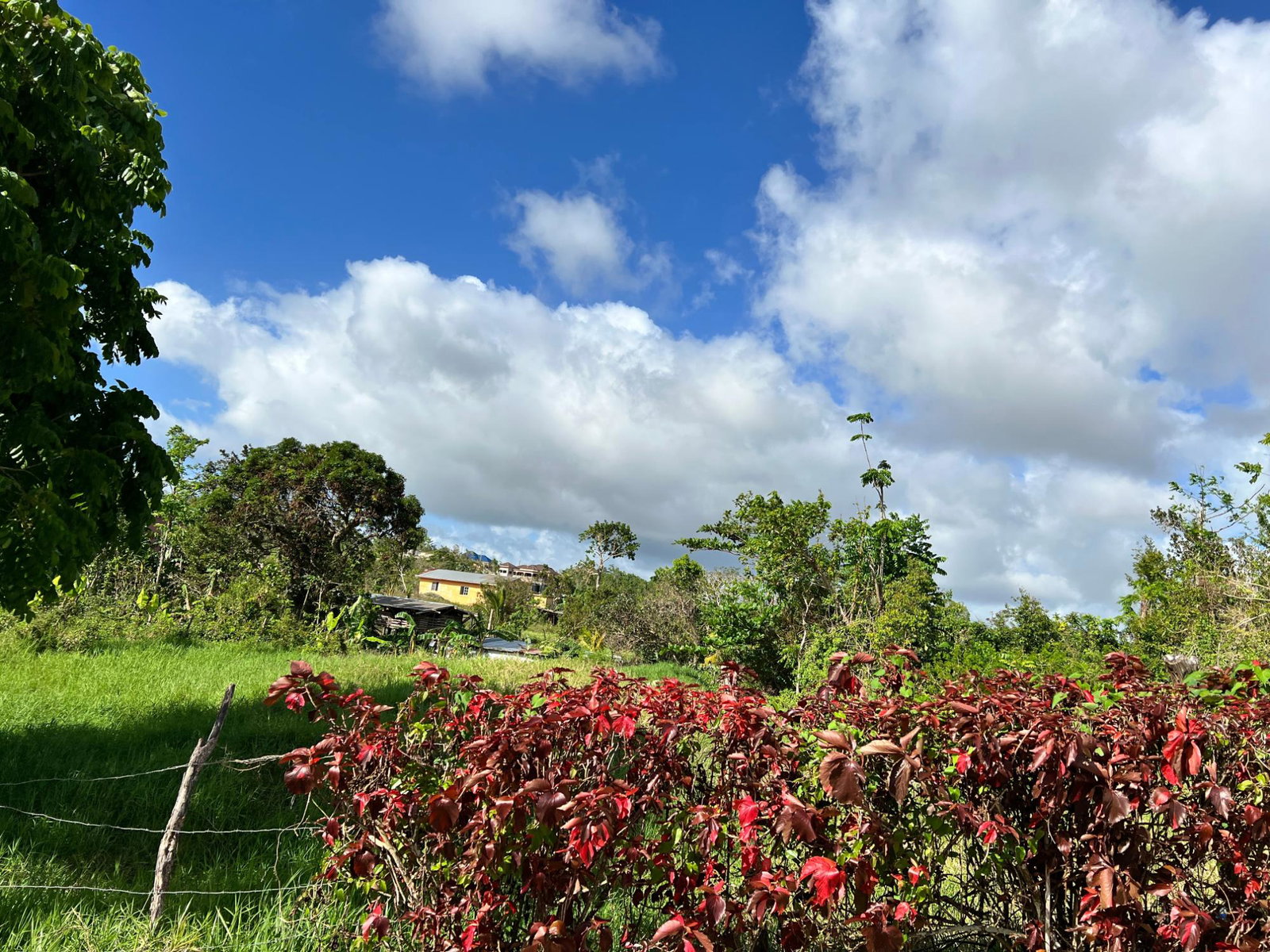 Fourth image of Lambtown Road in Mandeville, Manchester, Jamaica - property is For Sale