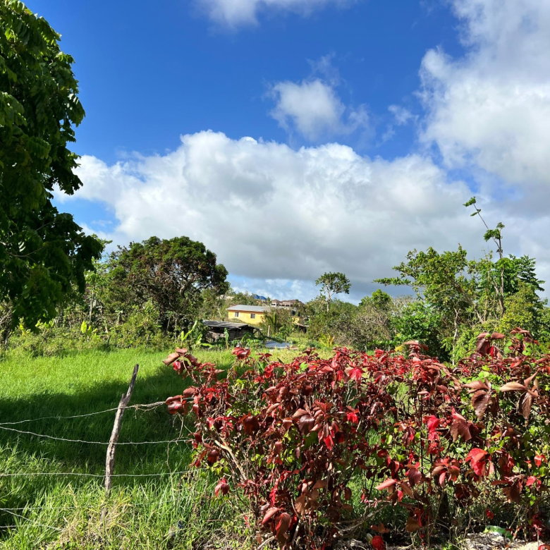 First image of Lambtown Road in Mandeville, Manchester, Jamaica - property is For Sale