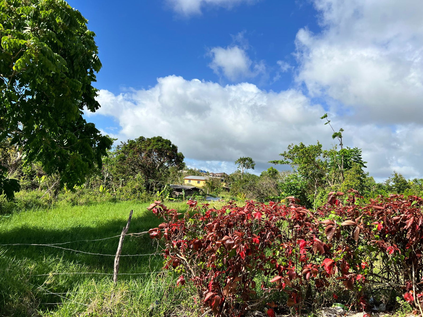 First image of Lambtown Road in Mandeville, Manchester, Jamaica - property is For Sale