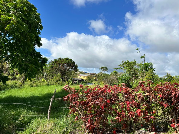 First image of Lambtown Road in Mandeville, Manchester, Jamaica - property is For Sale