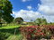First image of Lambtown Road in Mandeville, Manchester, Jamaica - property is For Sale