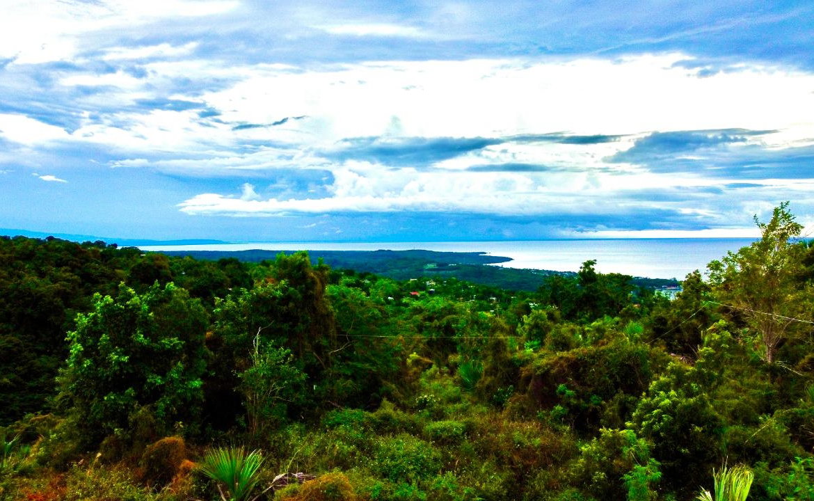 Second image of 187 Culloden in White House WD, Westmoreland, Jamaica - property is For Sale